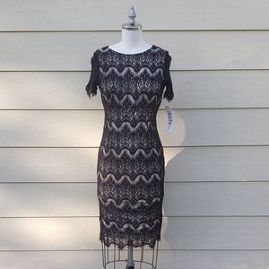 NEW Jody California Made in USA Black lace Dress